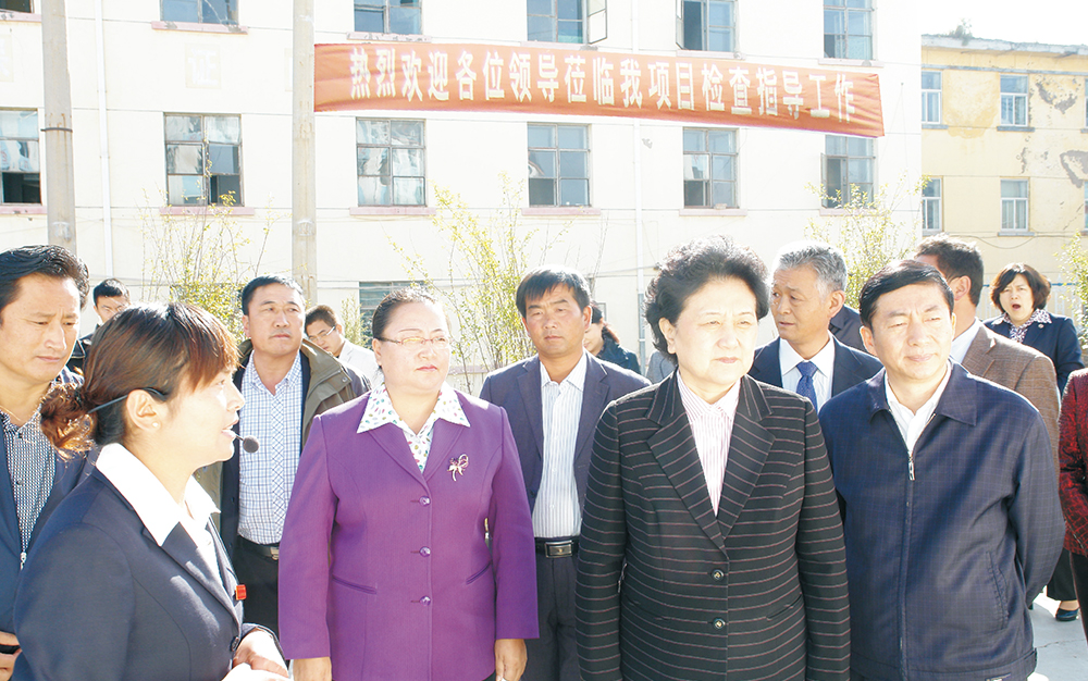 时任中央政治局委员，，，，，，，，国务院副总理、党组成员刘延东视察湖北星空娱乐集团青海项目部